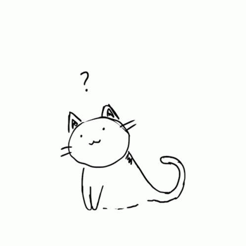 thinking cat